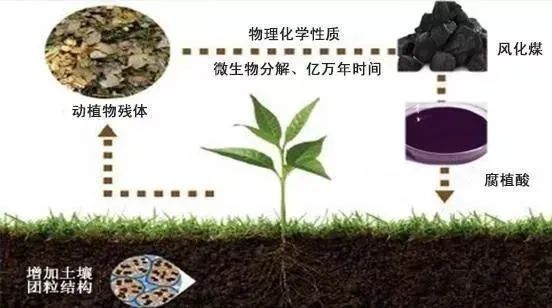 微信图片_20241212154518