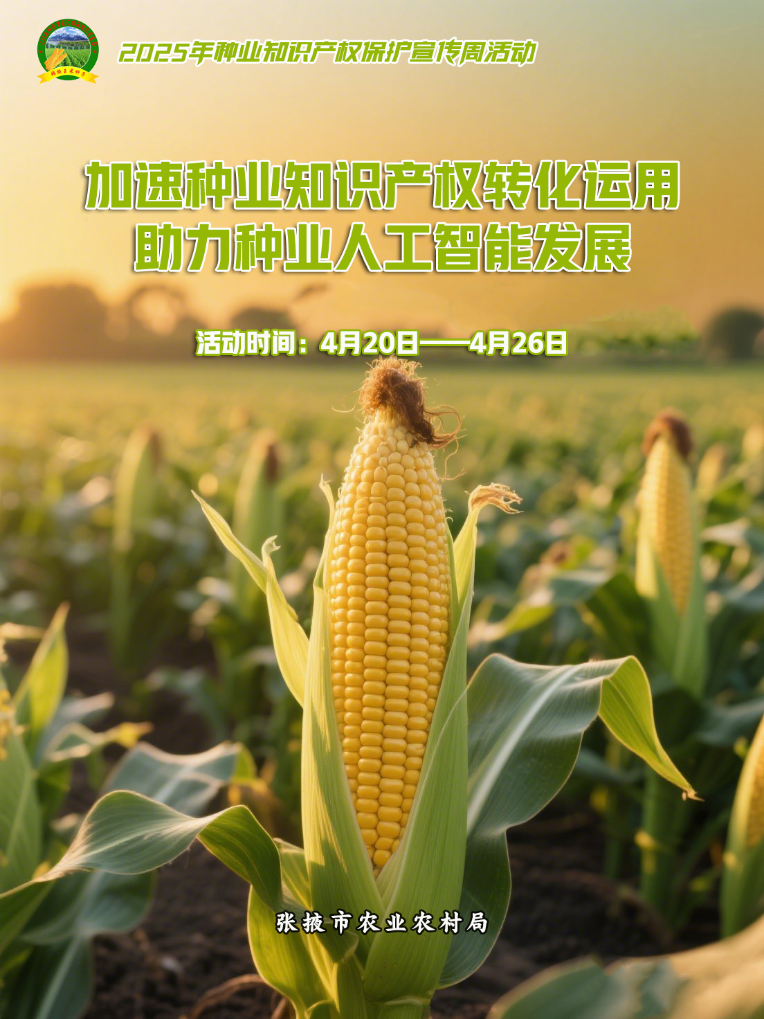 制作2025年全国知识产权宣传周活动宣传海报。以玉米制种为背景