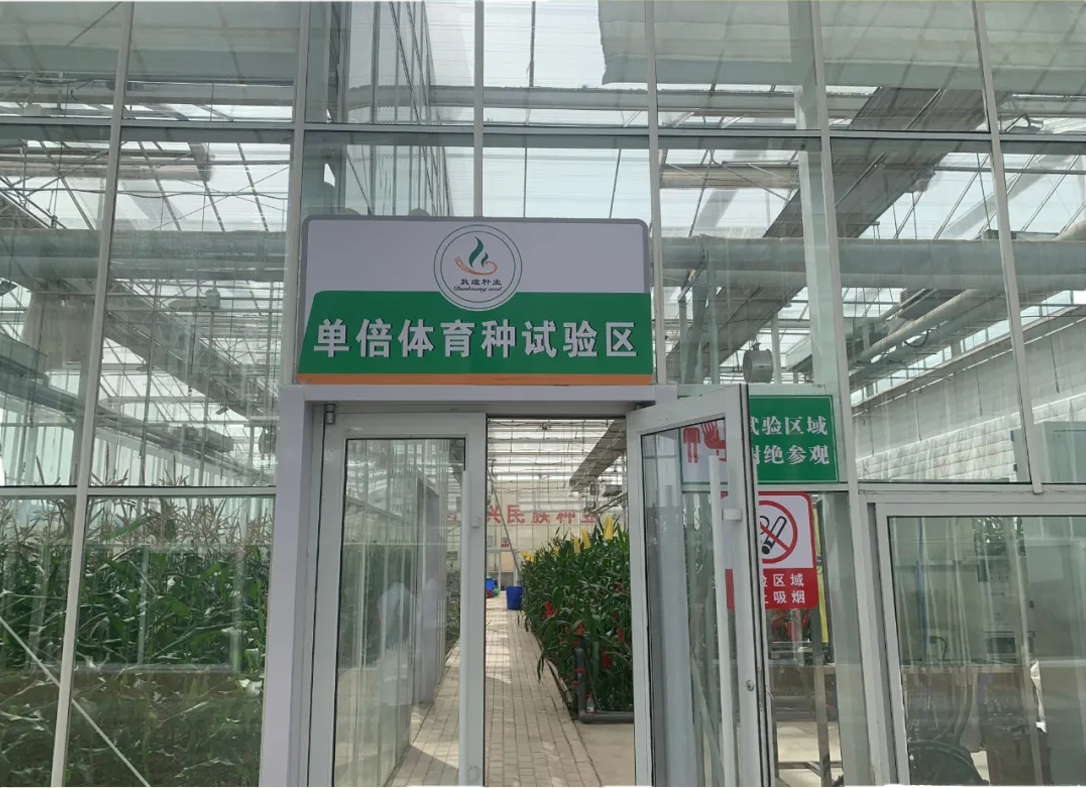 未标题-1