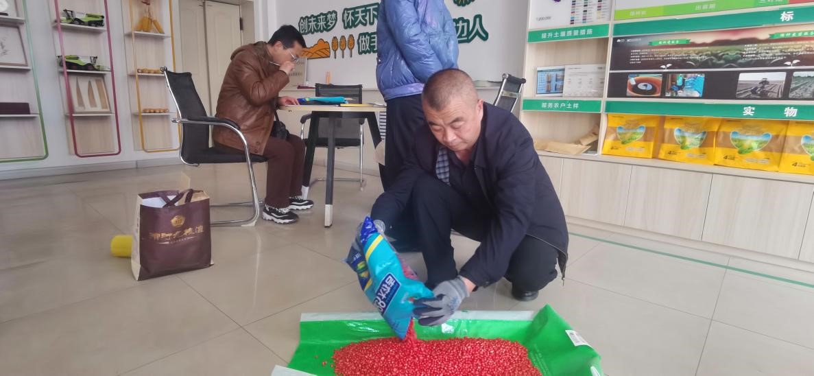 图片1