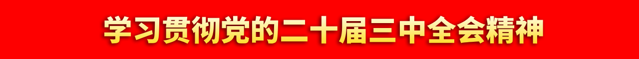 学习贯彻党的二十届三中全会精神