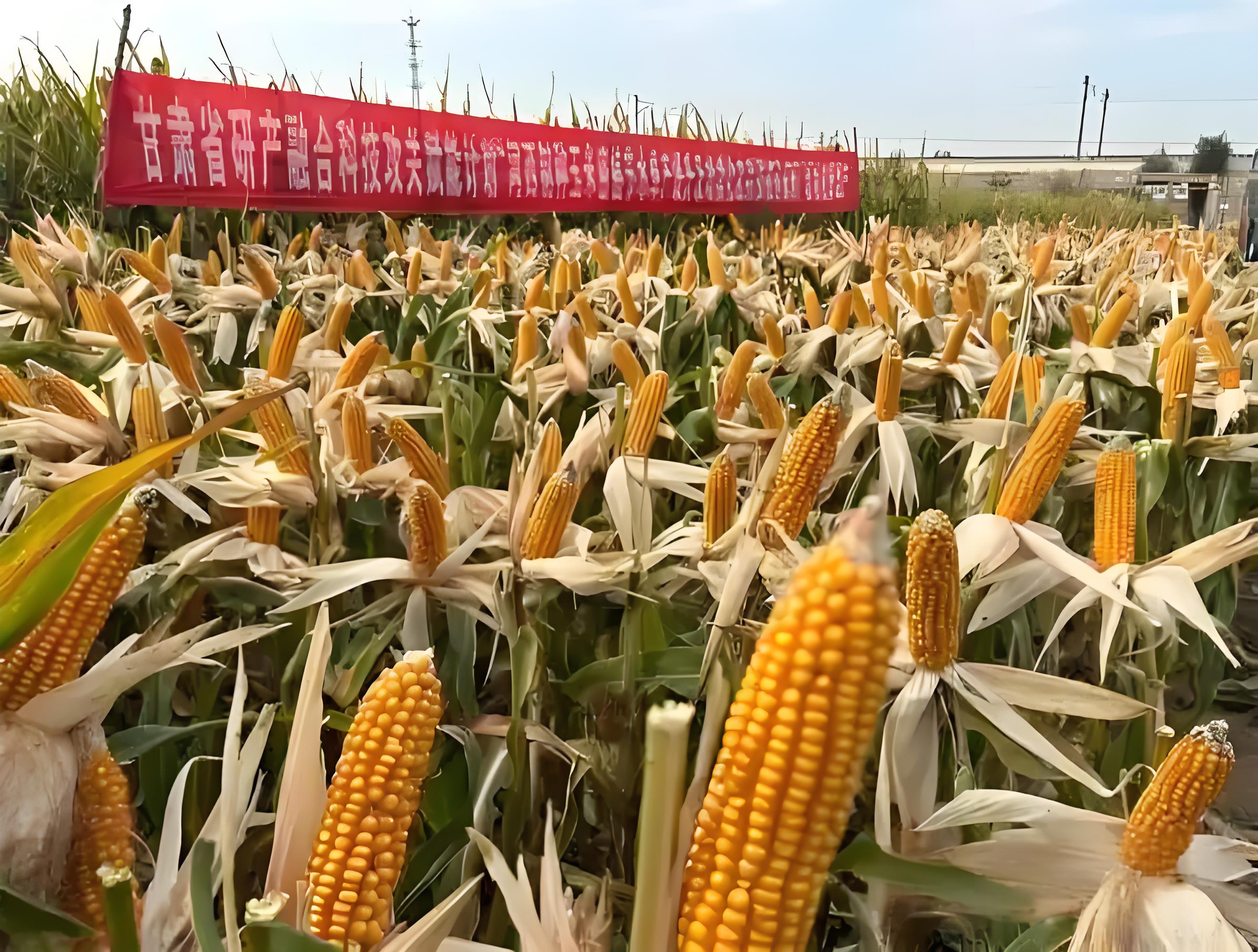 0893073b-684e-4da0-9b6b-5755fd6da356