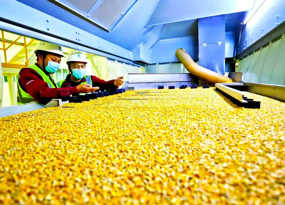 c702f438b60bd4e5f786dfbd560c7f43